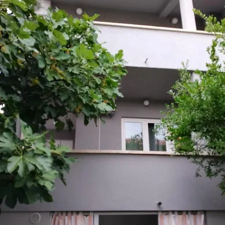 Apartment Vini *
