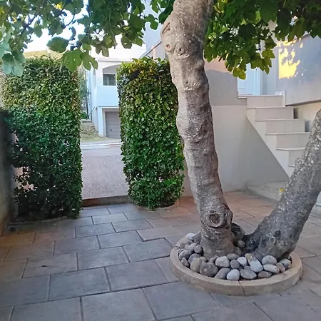 Appartement Vini